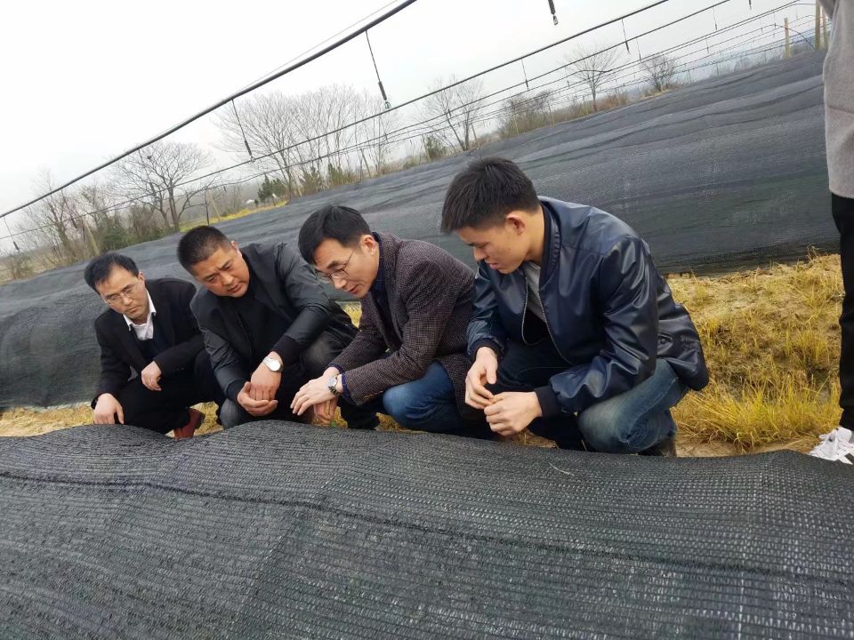 安農(nóng)大教授韋朝領(lǐng)、巢湖市科技局戴局長親臨年晟農(nóng)業(yè)指導(dǎo)